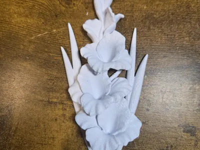 Shadow Box gladiolus