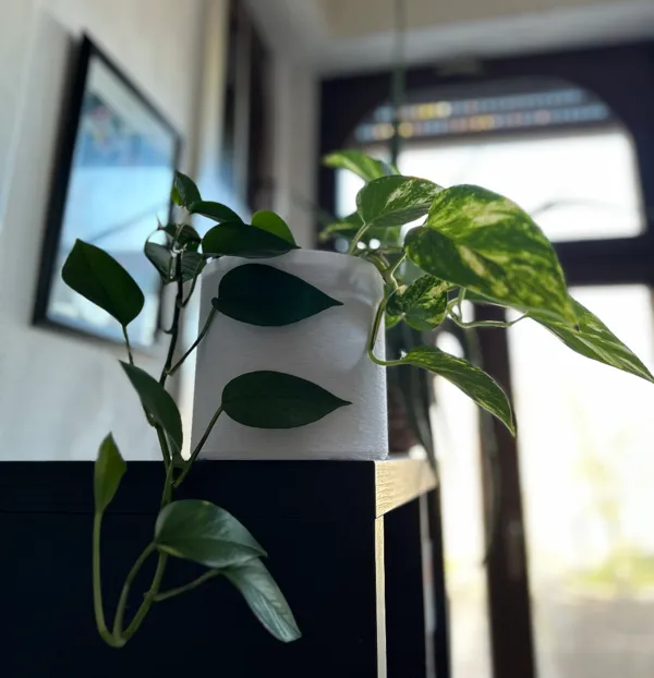 https://makerworld.bblmw.com/makerworld/model/US965a0b46014222/design/2025-01-11_417018f0336798.jpg