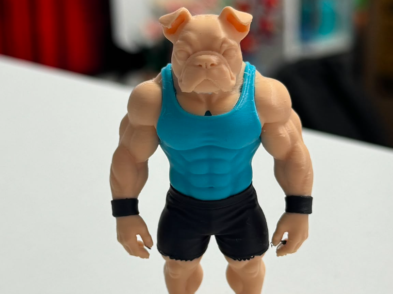 Body Builder Dog