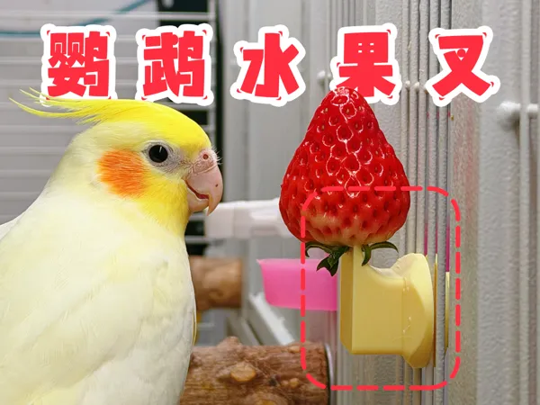 https://makerworld.bblmw.com/makerworld/model/US9662bcd1bdfc91/design/085219a846af8789.jpg