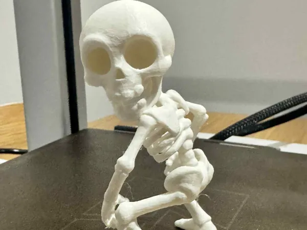 https://makerworld.bblmw.com/makerworld/model/US9665d9b988f00b/design/2025-10-26_bbf66f0b6dee68.jpg