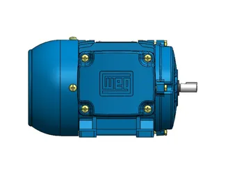 MOTOR WEG