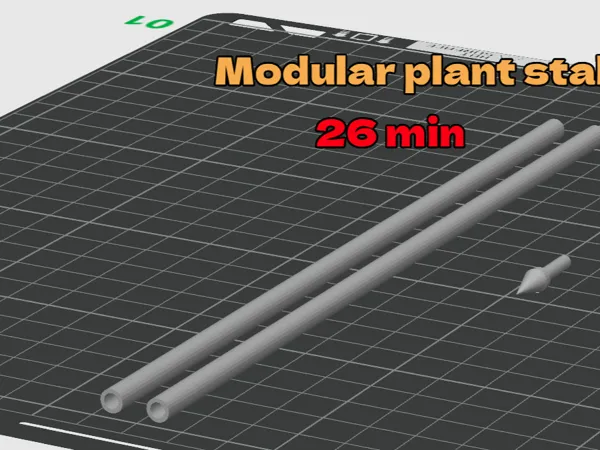 Tuteur modulaire pour plantes