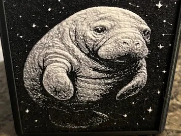 Manatee Star Hueforge 100x100 organizer
