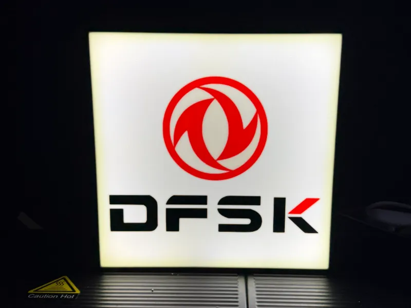 DFSK Leuchtbox