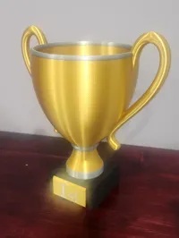 Trophée première place — photo 3