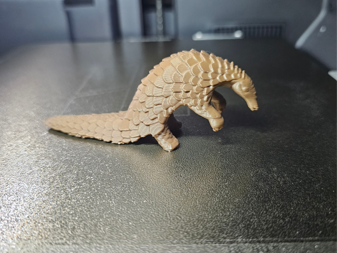 Pangolin Schuppentier 3 - Tiere aus aller Welt