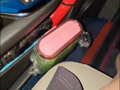 Car Trash Can