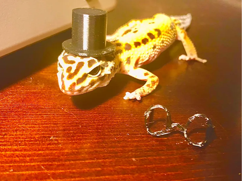 Little Glasses for Little Critters 