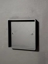 Wall mount with screw