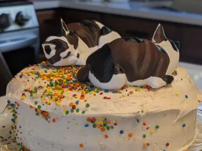 Laying down cat - 3 color - birthday cake topper