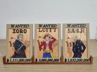 Espositore carte onepiece