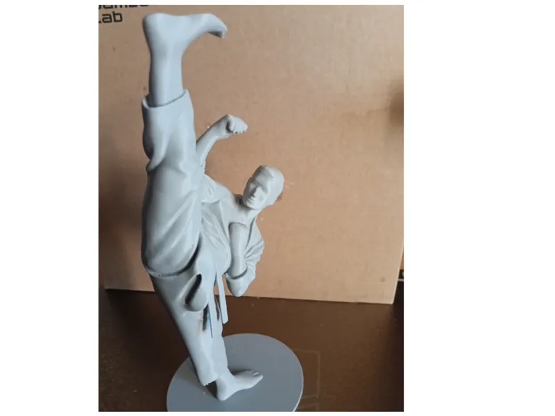 taekwondo kick