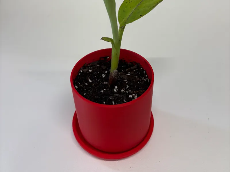 3"/4"/5" indoor/outdoor Drain Pot