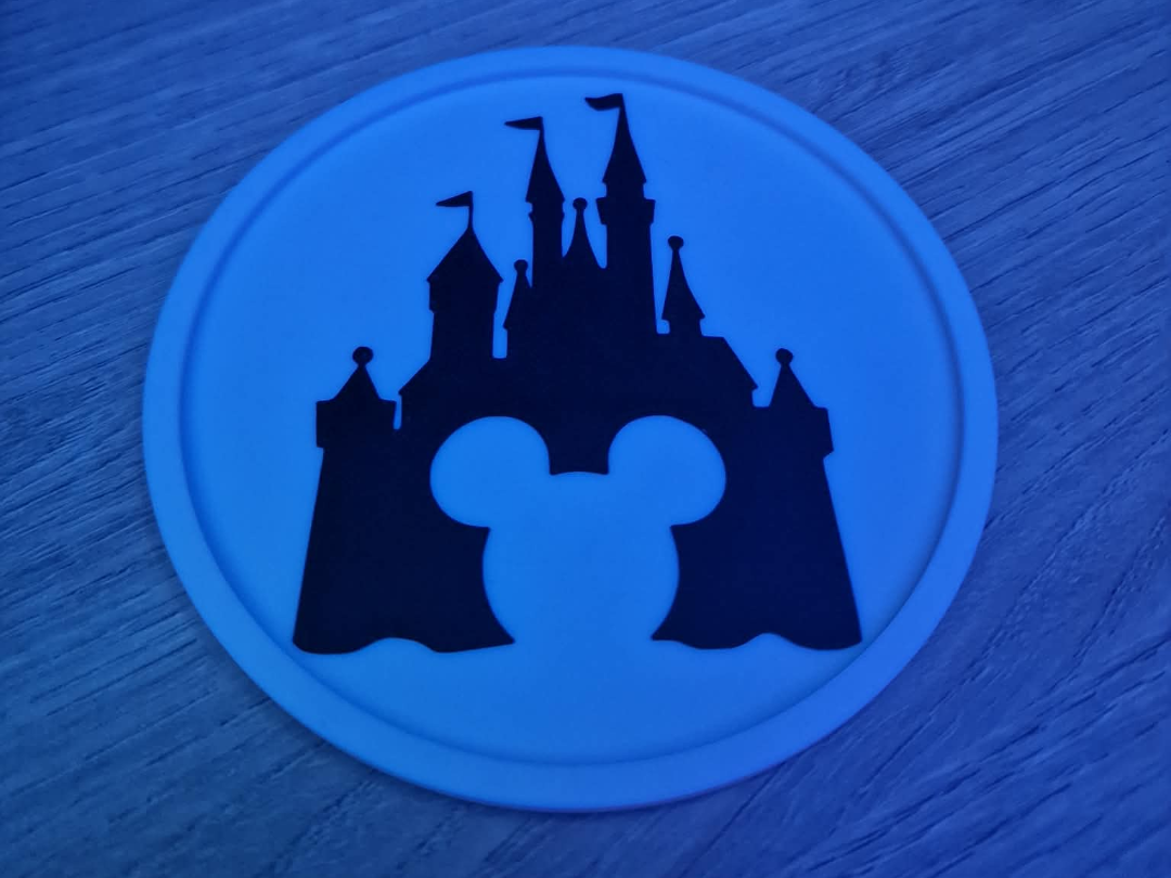 Disney Castle Coaster