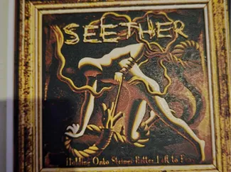 Seether - Holding Onto Strings Better Left to Fray