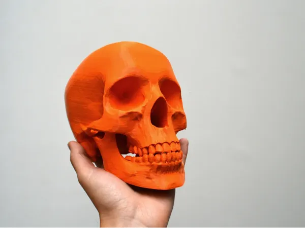 https://makerworld.bblmw.com/makerworld/model/US96a5707617f140/design/e18c0d48a280a0dc.webp