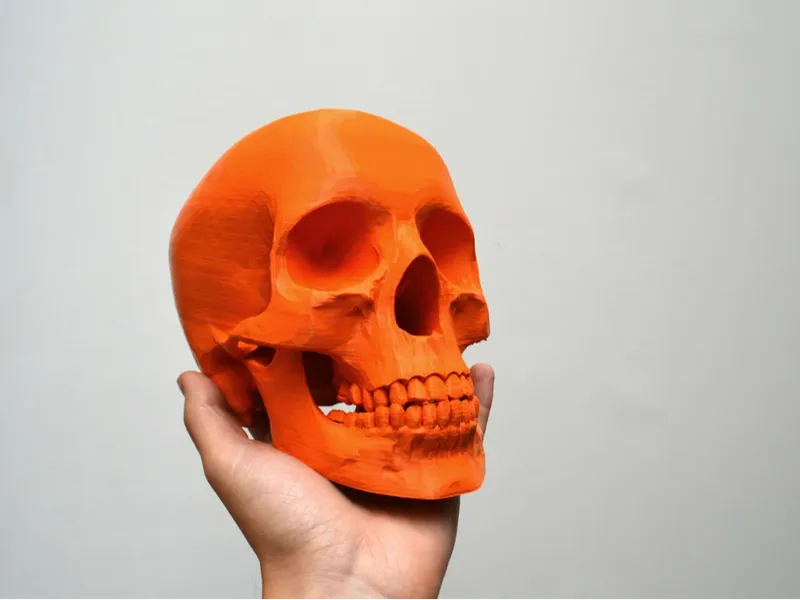 Skull Decor