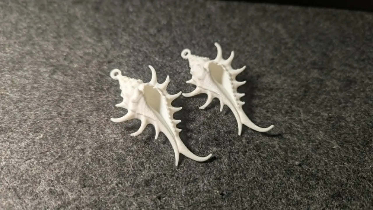 Conch Shell Earrings view 4