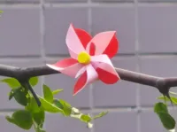 多色打印