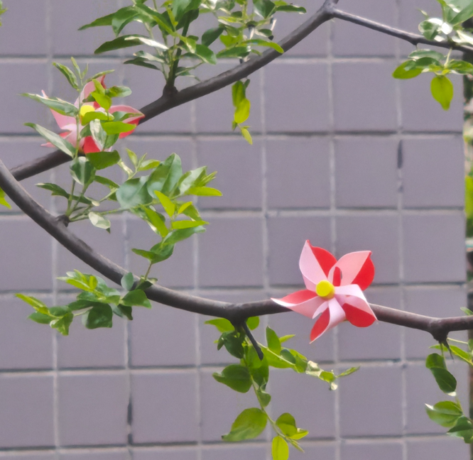 Miniatura 2 do modelo 3D 小风车