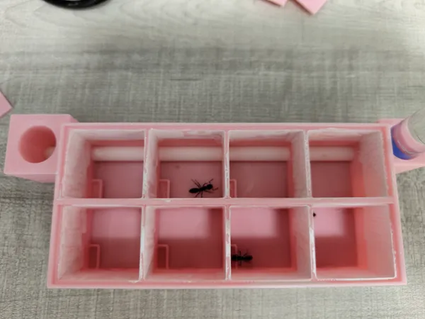 https://makerworld.bblmw.com/makerworld/model/US96b97bee1c9ddf/design/2025-05-05_4b382b68710dc.jpg