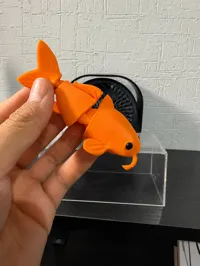 Koi Fish Orange Print Profile