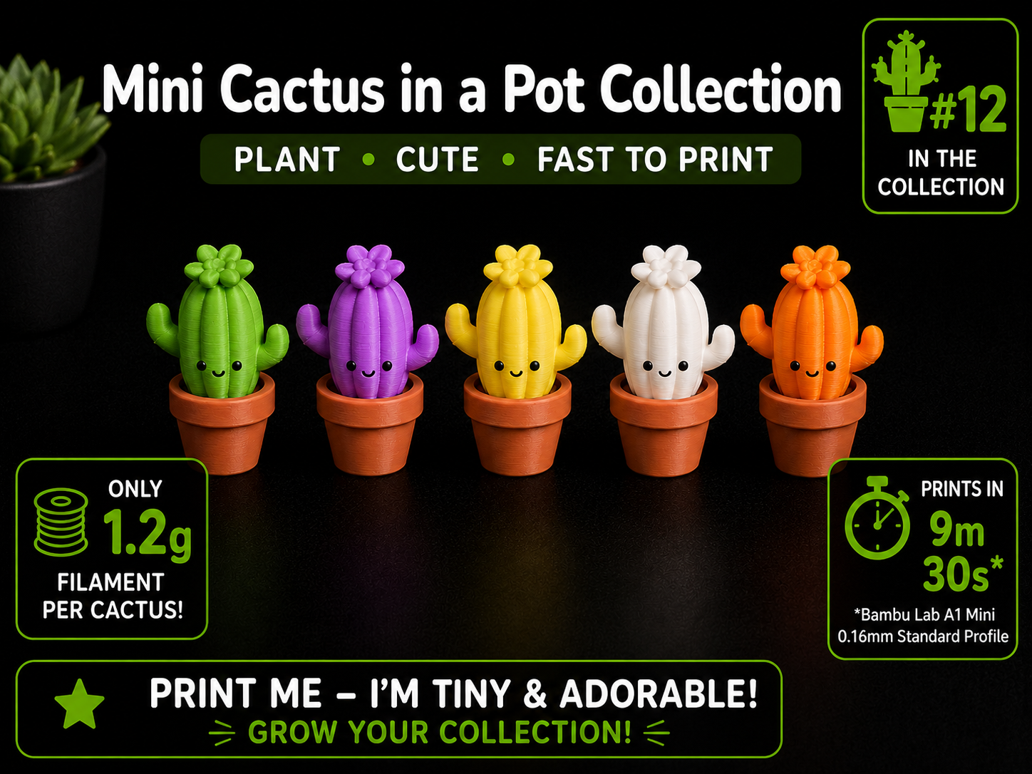 Tiny Cactus in a Pot – Prickle Free Plant Cute Fun
