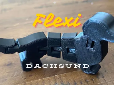 Flexi Dachsund