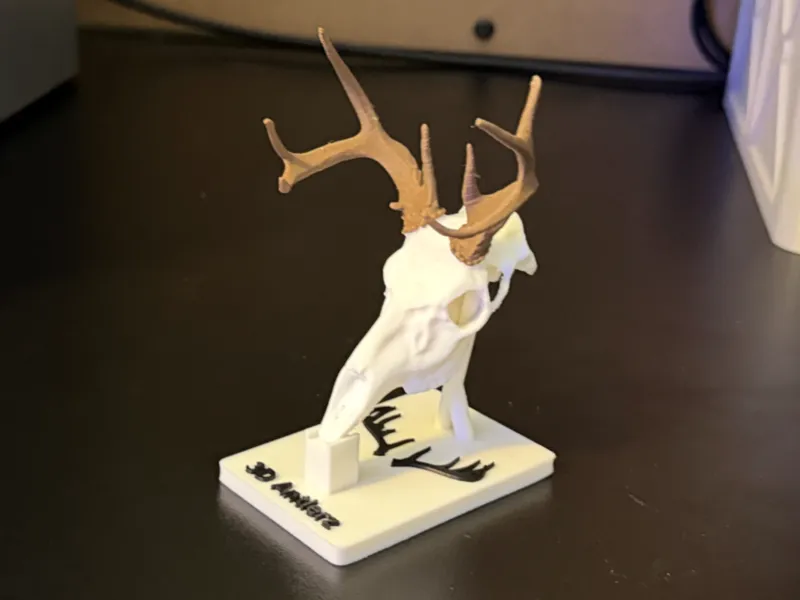 8 Point Whitetail Deer