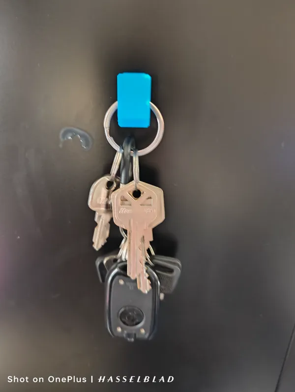https://makerworld.bblmw.com/makerworld/model/US96c5af55d52771/design/2024-04-06_4c624a31c715a.jpg