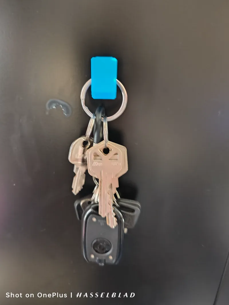 Triple magnet hook