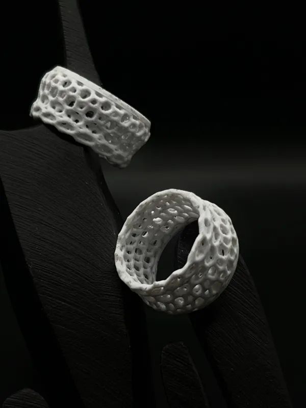 https://makerworld.bblmw.com/makerworld/model/US96c83134c95d50/design/2023-11-13_c29dc6c6c81e9.jpg