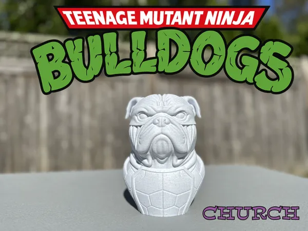 https://makerworld.bblmw.com/makerworld/model/US96c98ab670fa7c/design/2025-10-10_f373f2e67ab378.jpg