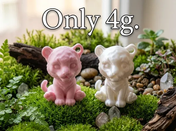 https://makerworld.bblmw.com/makerworld/model/US96ca6df56053b5/design/0efe36f78d4d138f.jpeg