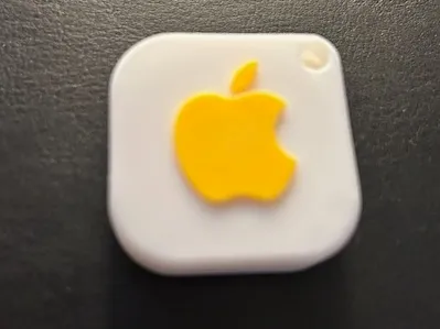 Apple AirTag Keychain
