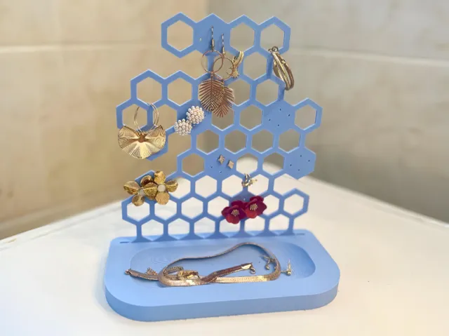 Earring holder and organizer