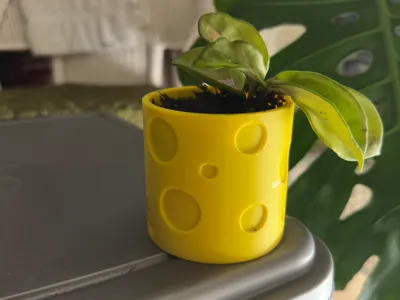 Cheese Planter