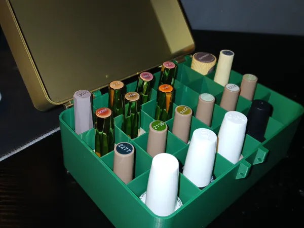 https://makerworld.bblmw.com/makerworld/model/US96d033b645291f/design/2025-05-03_38185def5b5cc.jpg