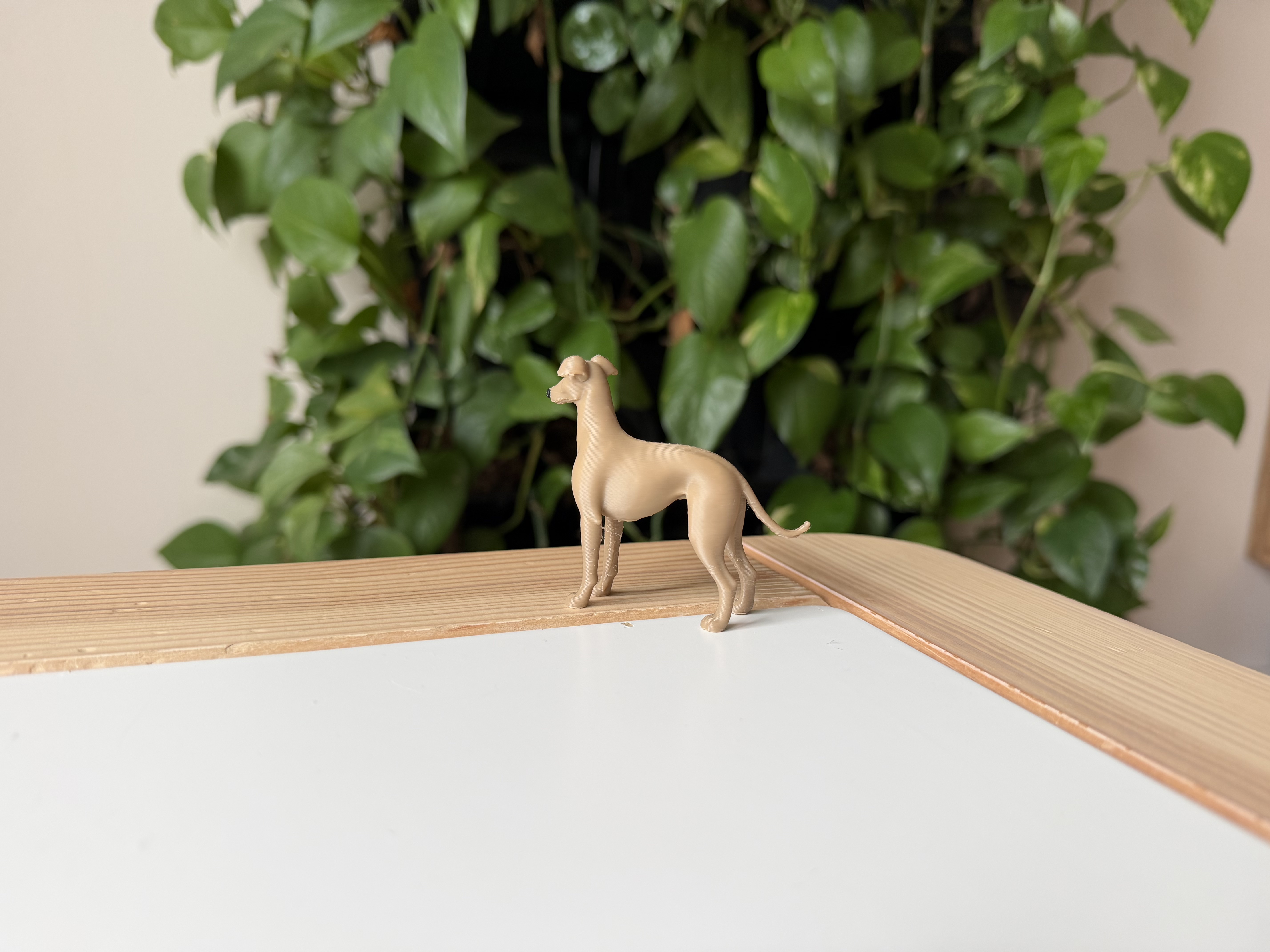 Search:greyhound - MakerWorld