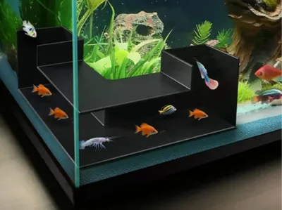 Independent Entrance Channels for Fish Tank
