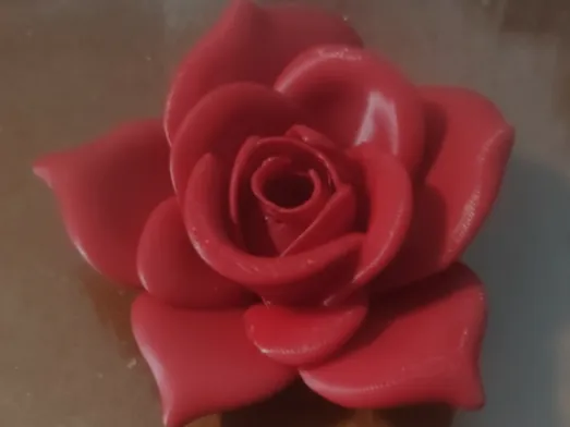 Simple table rose Valentine's Day