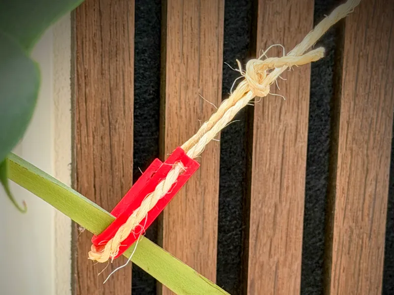 Monstera Support, Rope Guide for Climbing Plants