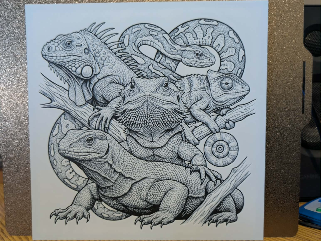 Reptiles of the world - Hueforge - 2 colours