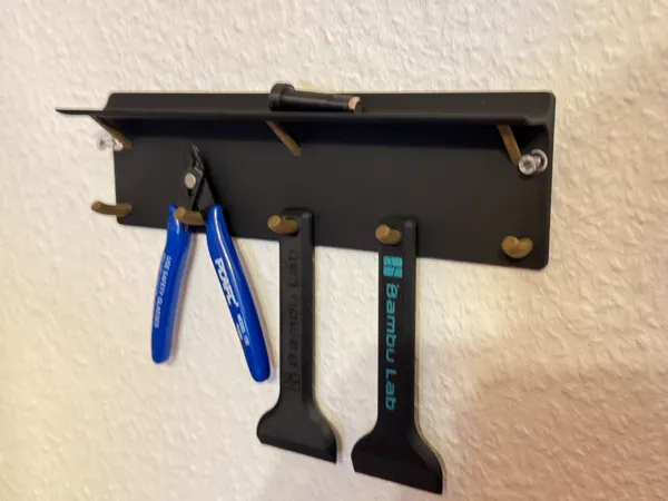 https://makerworld.bblmw.com/makerworld/model/US96e924cf4b2e99/design/2025-01-18_2284ccf905f978.jpeg