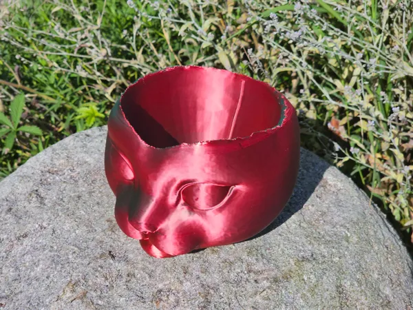 https://makerworld.bblmw.com/makerworld/model/US96ebd32246b8a2/design/2024-08-02_d7980232100228.jpg