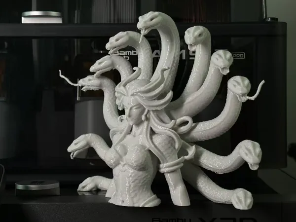 https://makerworld.bblmw.com/makerworld/model/US96ec217392feea/design/5d2a4e80e1a42f9d.jpg