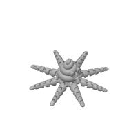 Pooctopus — photo 3