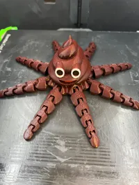 Pooctopus — photo 4