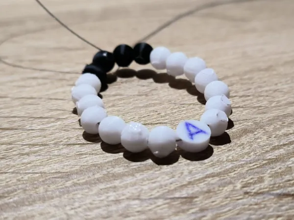 https://makerworld.bblmw.com/makerworld/model/US96f979e2498cae/design/2025-09-26_76922c303dadb.jpg